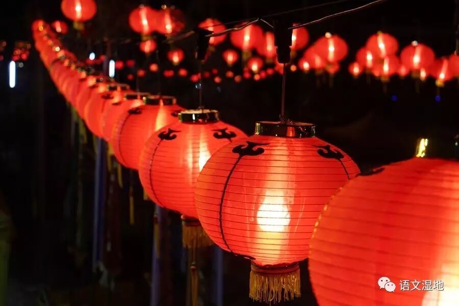 第1131季【湿地随笔】点亮生命的那一盏盏灯