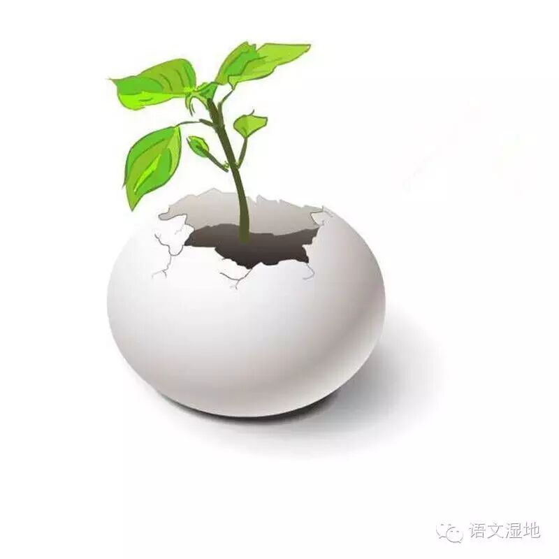 【湿地 • 生命】父爱给你行走的力量