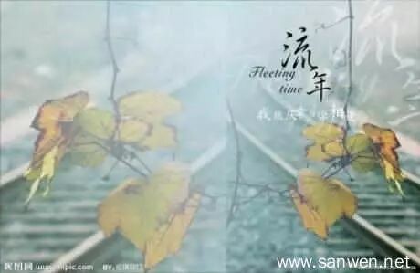 【湿地随笔】董月侠：阳台花落