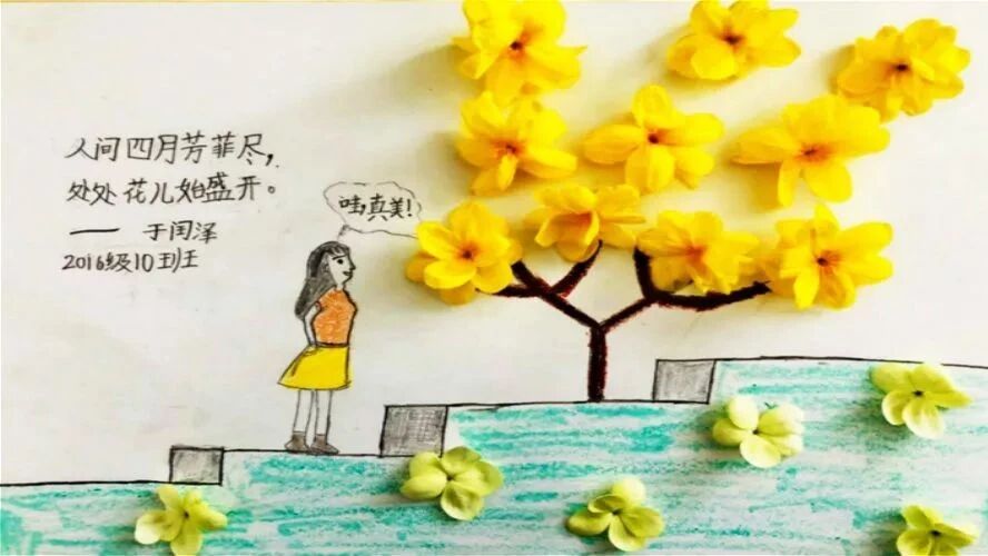 第1579季 潘佳梅：一项创意作业