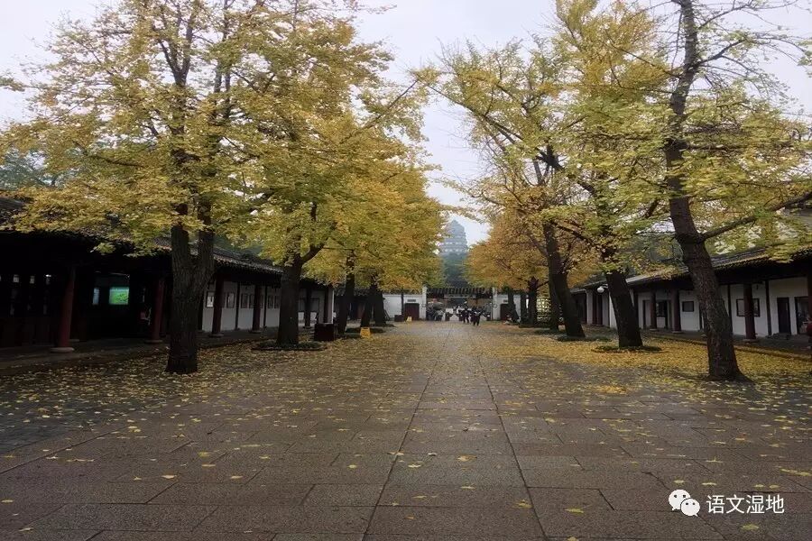 第1107季【湿地阅读】农村初中中国古典长篇小说四大名著导读课程开发的实践探索
