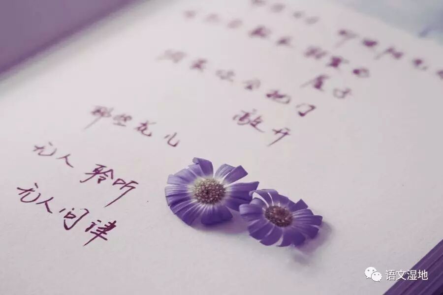 【婷婷专栏】 我敢在你怀里放屁