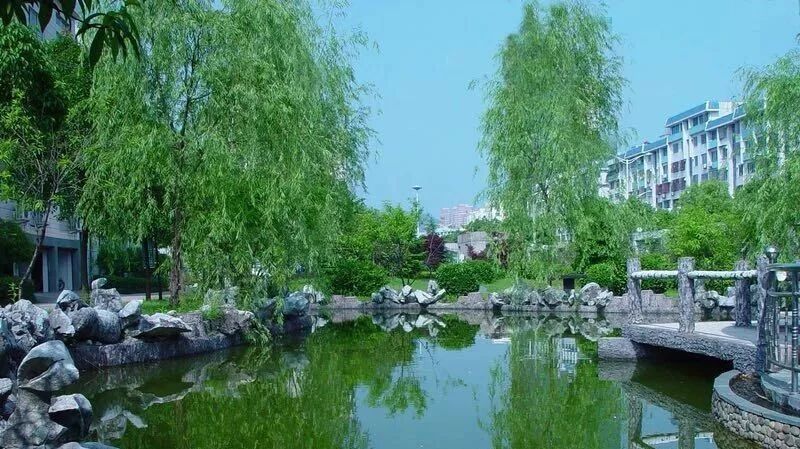 【湿地阅读】我们的诗和远方 温岭，我准备好了