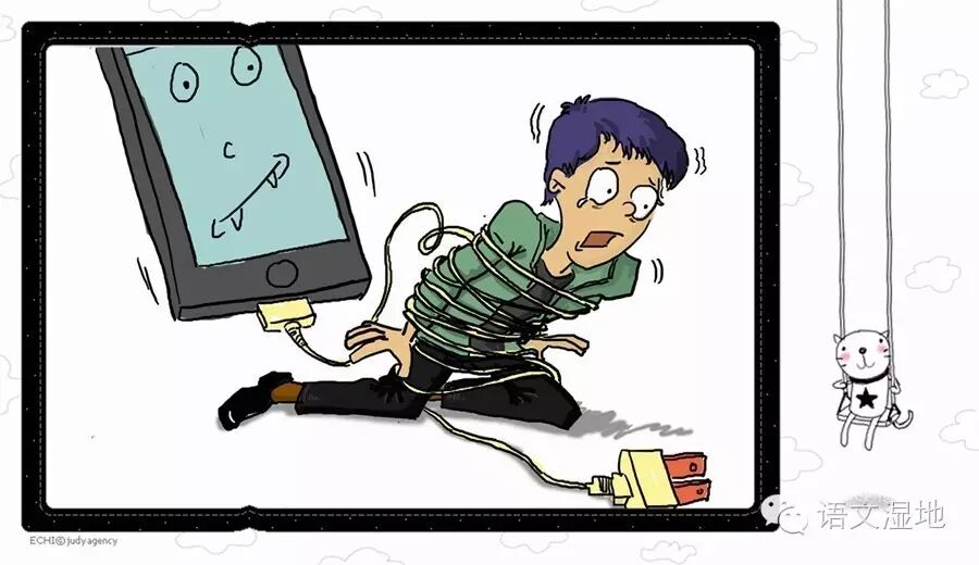 【湿地随笔】你是移动硬盘吗？