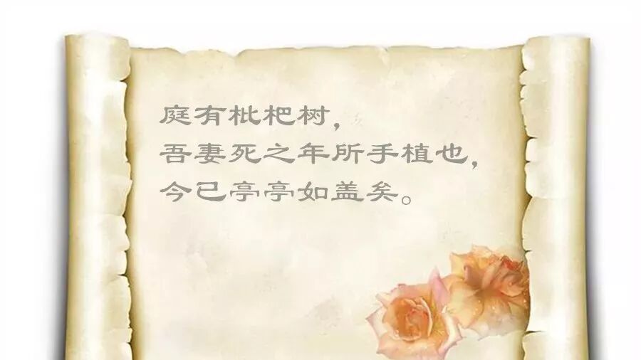 第1481季 【湿地课堂】王晨杉：于平凡琐事中体味人间大爱