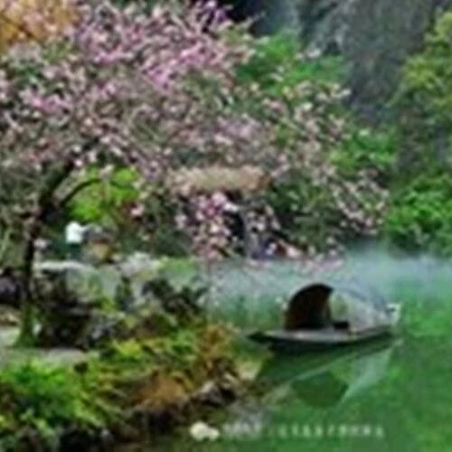 【湿地随笔】《桃花源记》中的人性之歌