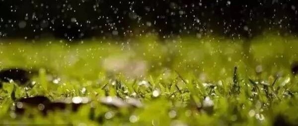 【湿地课堂】张铭丽：《昆明的雨》课堂实录
