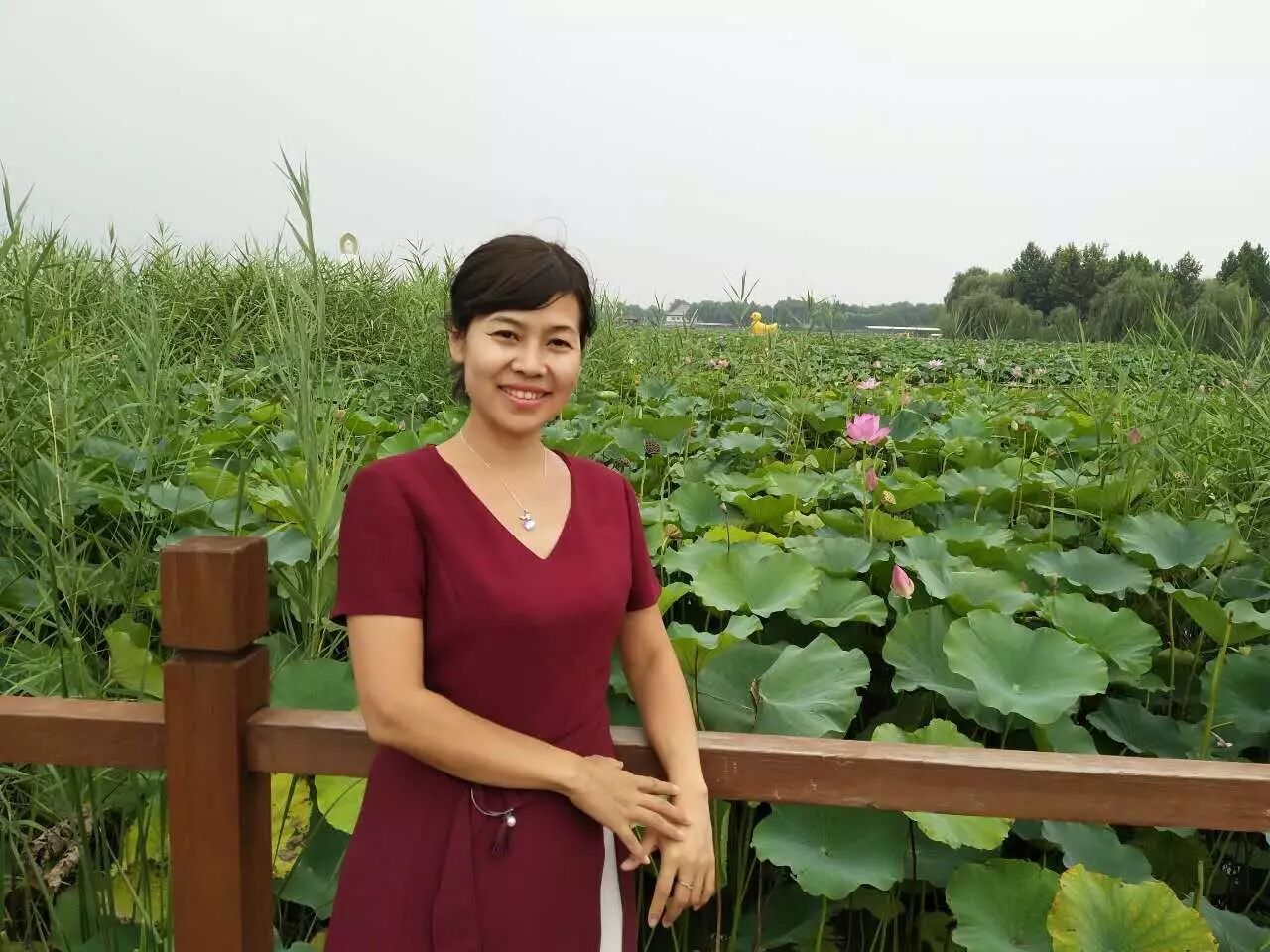 【湿地故事】她叫姜凌鸽