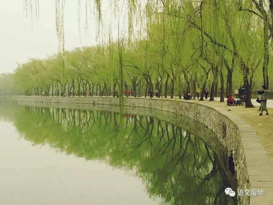 【湿地随笔】每天一段话，陪伴学生走过中考