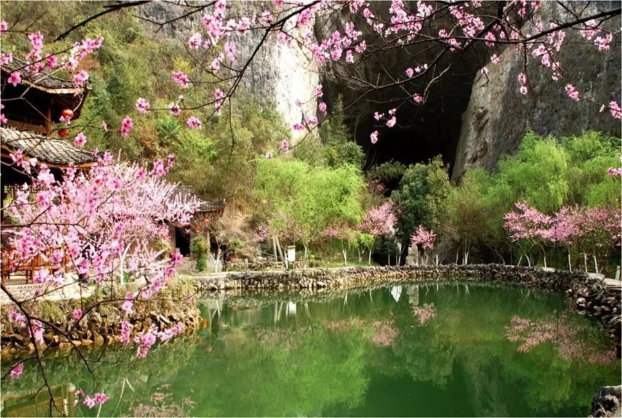 【湿地随笔】馨香难尽滋味长，我教《桃花源记》