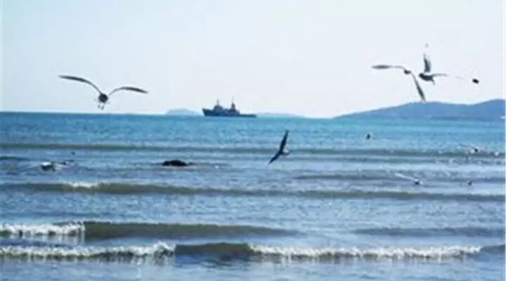第1395季【湿地·豫见】聆听潮声  奋力前行