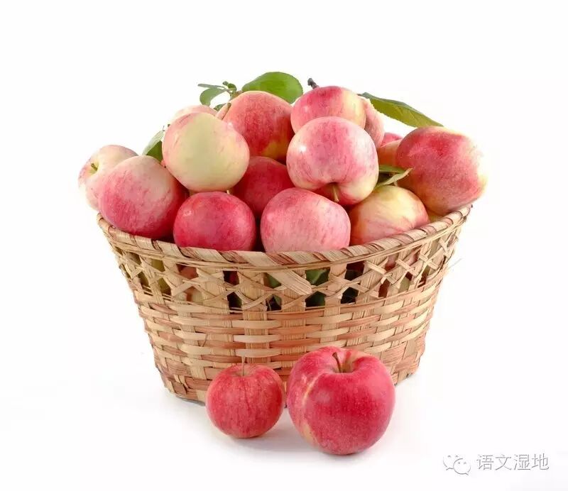 【湿地作文】“分苹果的故事”材料作文教师下水指导