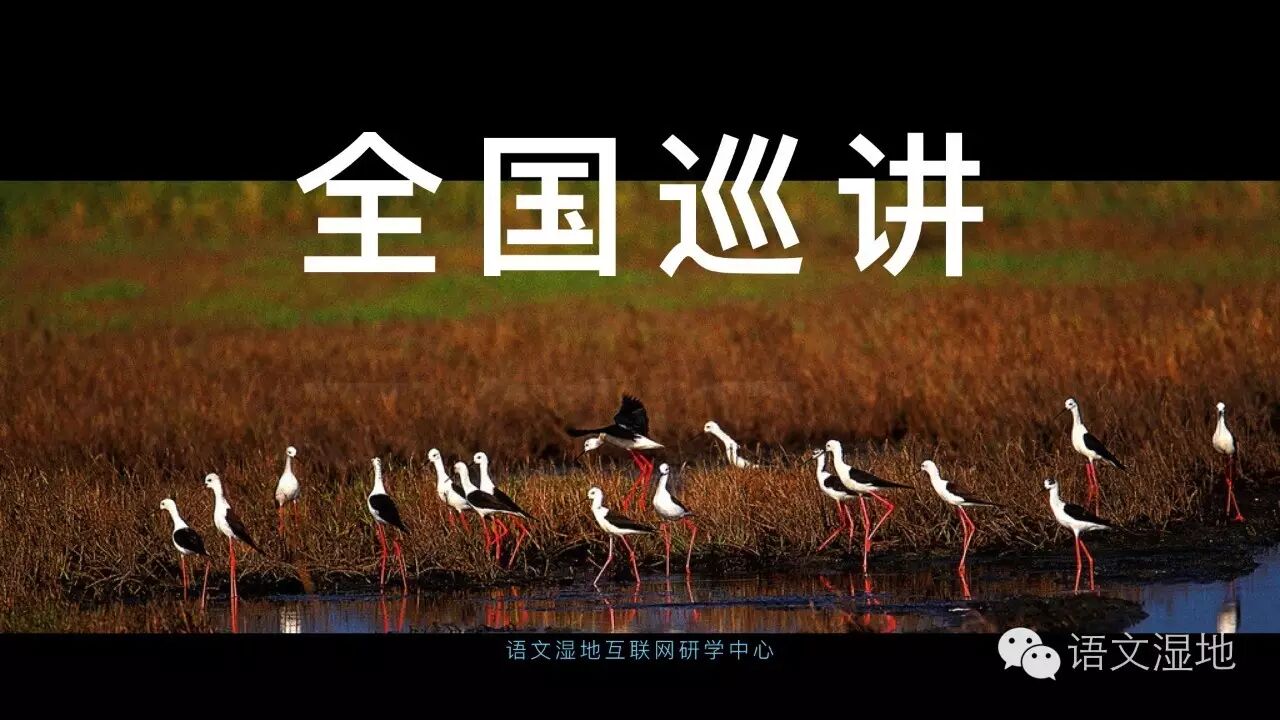 【公益巡讲】语文湿地全国公益巡讲公告