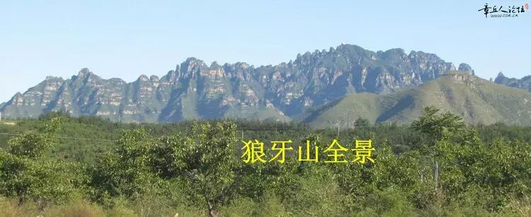 【徐水润之】苏永红：狼牙山旧事