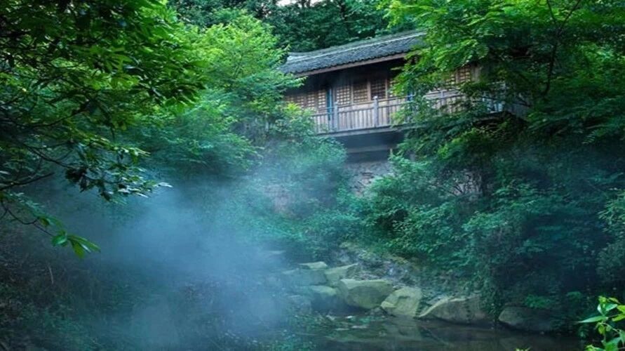 第1713季【湿地悦享】寻隐者不遇