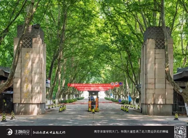 南京体育学院大门,林荫大道挂满了此次奥运获奖的横幅