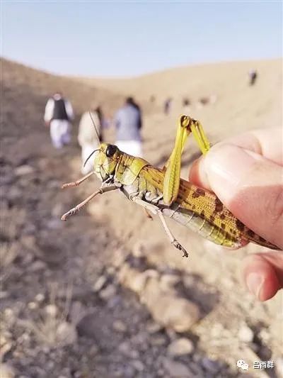 农业生物安全关乎人类生存安危