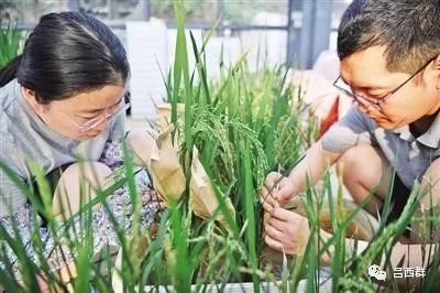 农业生物安全关乎人类生存安危