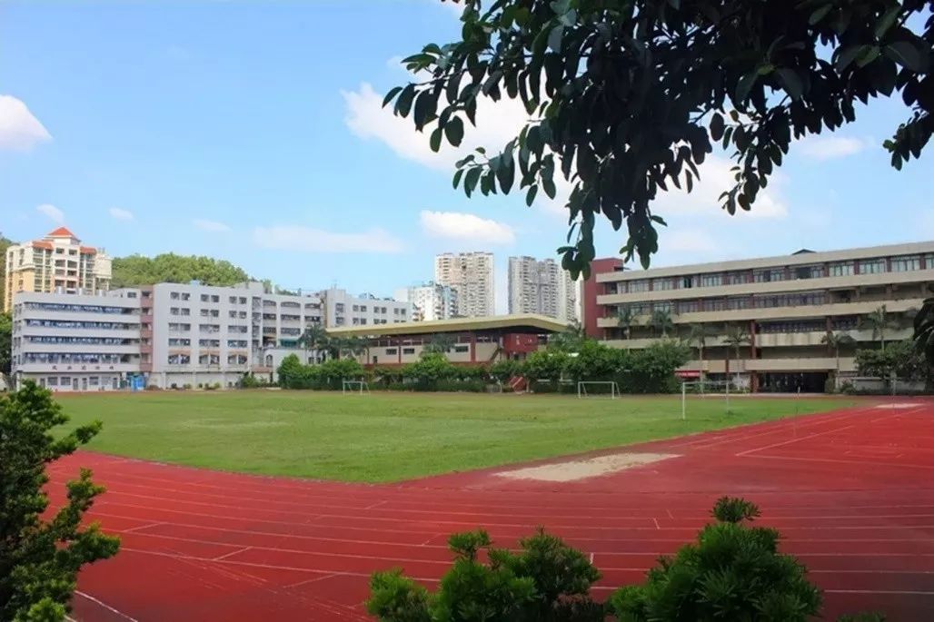 育树成林,惠州市第八中学