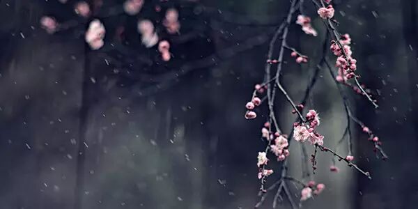 形如宝塔，诗歌中的”建筑美”代表