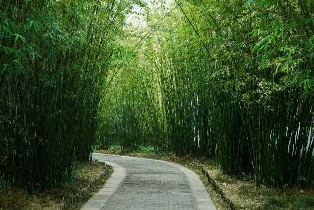 形如宝塔，诗歌中的”建筑美”代表