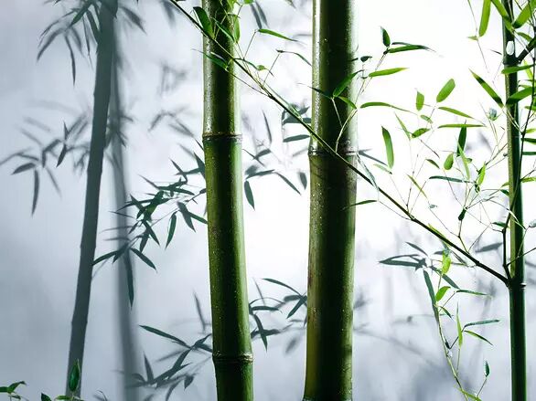 形如宝塔，诗歌中的”建筑美”代表