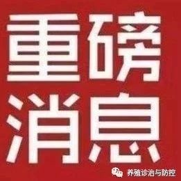 什么东西能生蛆喂鸡