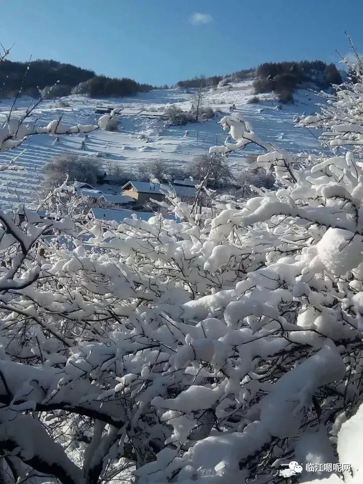 中国雪村—临江•松岭,2017首降大雪,美爆了 |!