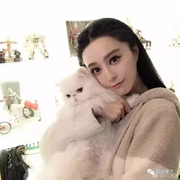 李冰冰喜欢蜘蛛,baby一只猫10万,张馨予的宠物太吓人