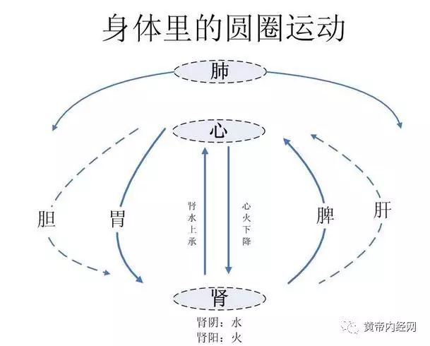 四圣心源 卷五 杂病解上