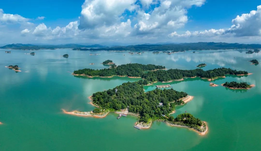 龙凤呈祥（本报记者 杨坚）.jpg