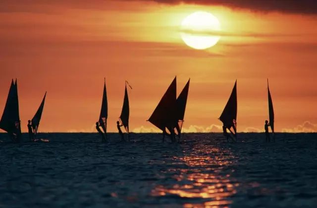 日本进入低欲望社会：不婚、不生、不买房。可以集体出家了