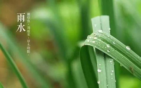 雨水节气后重在祛寒湿这份养生指南请查收