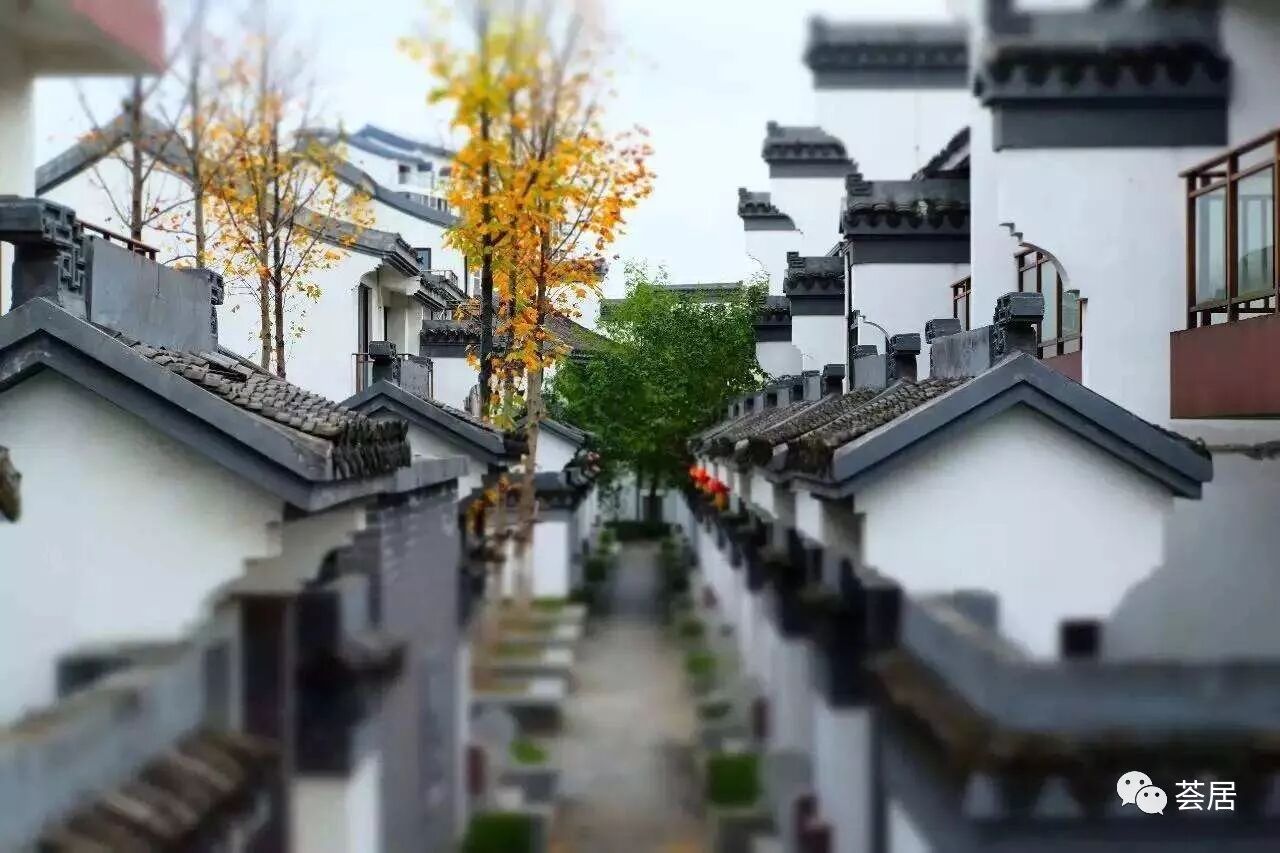 微信图片_20171211132529.jpg