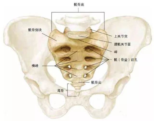 尾骨痛是一种怎样的体验