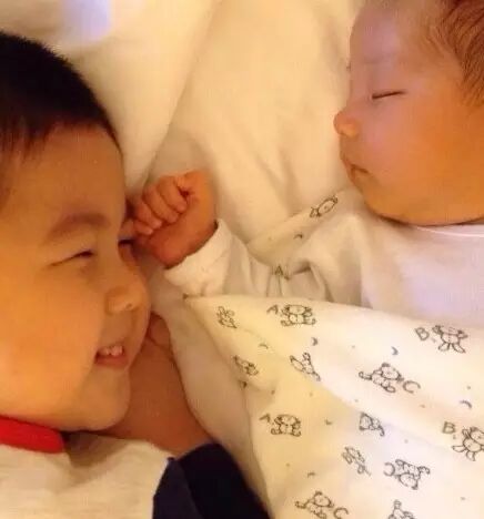 一样的爸妈不一样的颜值,胡可后悔二胎没吃燕窝-怀孕期