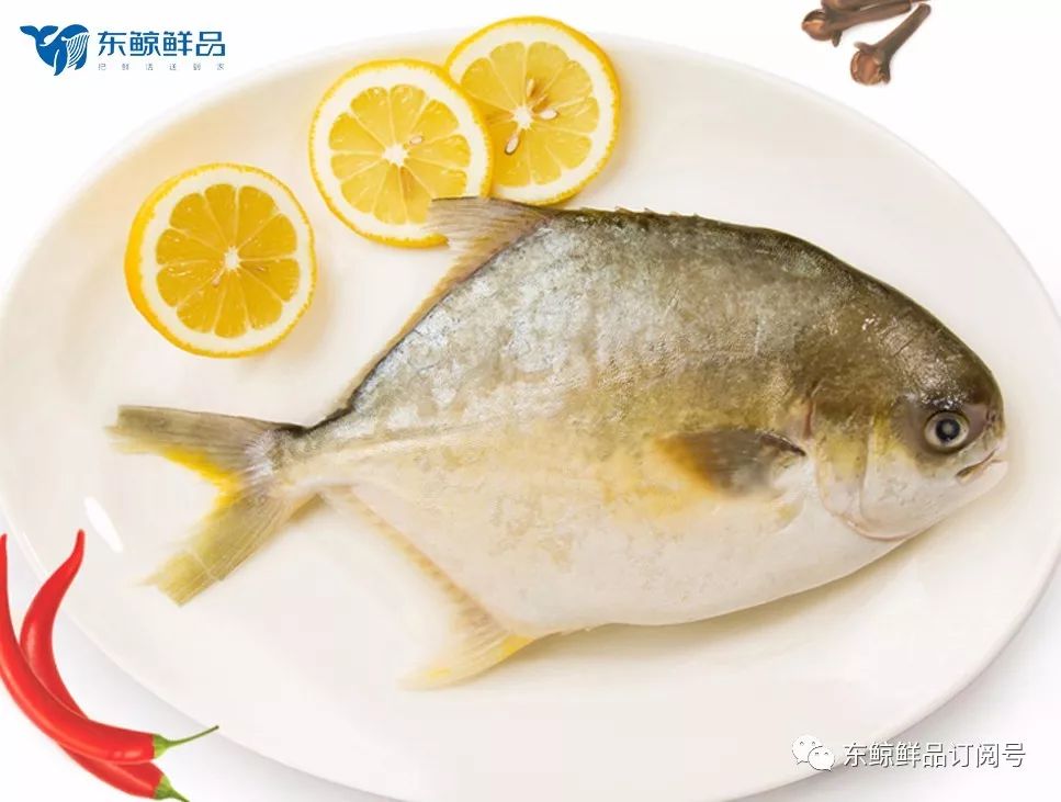 金猪肉的营养鲳鱼煮价值不放图片
