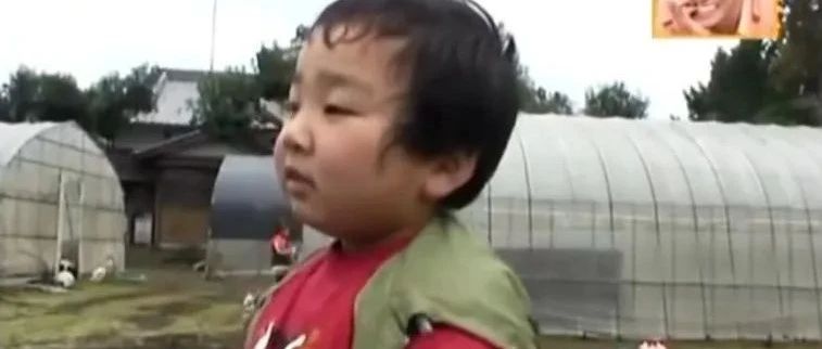 6岁活出了60岁的态度,这个小男孩让日本人念念不忘11年