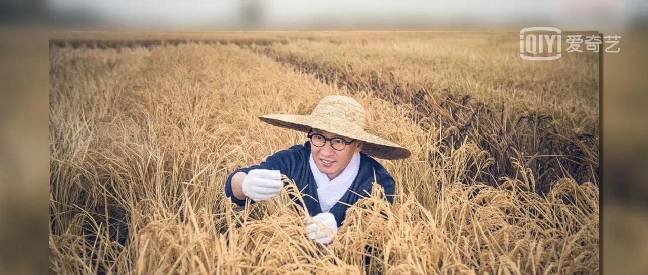 比起做艺人,周杰真是块种田的好料子