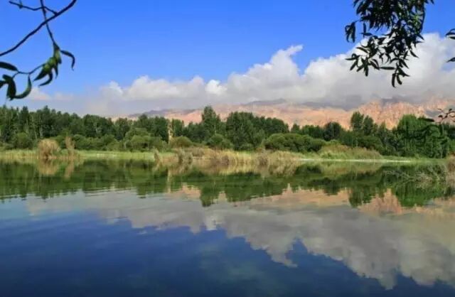 推進(jìn)鄭汴中央濕地公園、惠濟(jì)石橋濕地公園