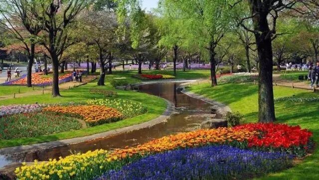 構(gòu)建濕地生態(tài)系統(tǒng)，著力修復(fù)湖泊濕地