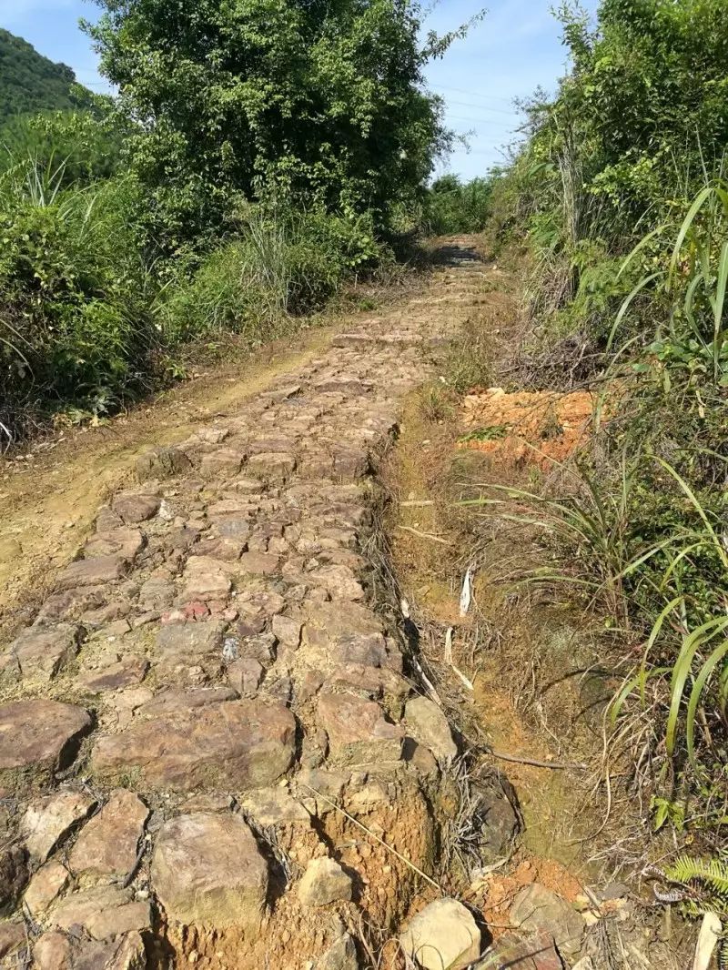 南粤古驿道保护利用工作第三指导组对乳源西京古道标识系统建设和现状