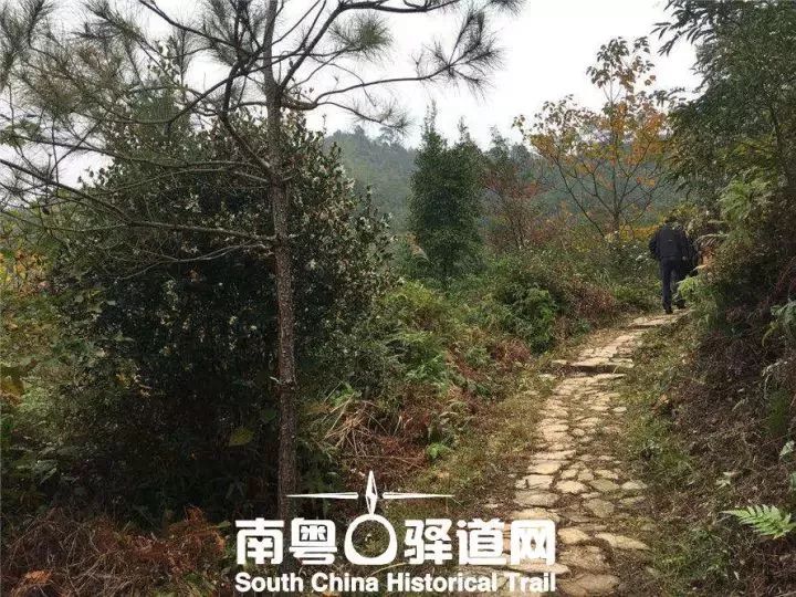 连平县大湖镇连接和平县的这条古驿道引起了省领导的重视