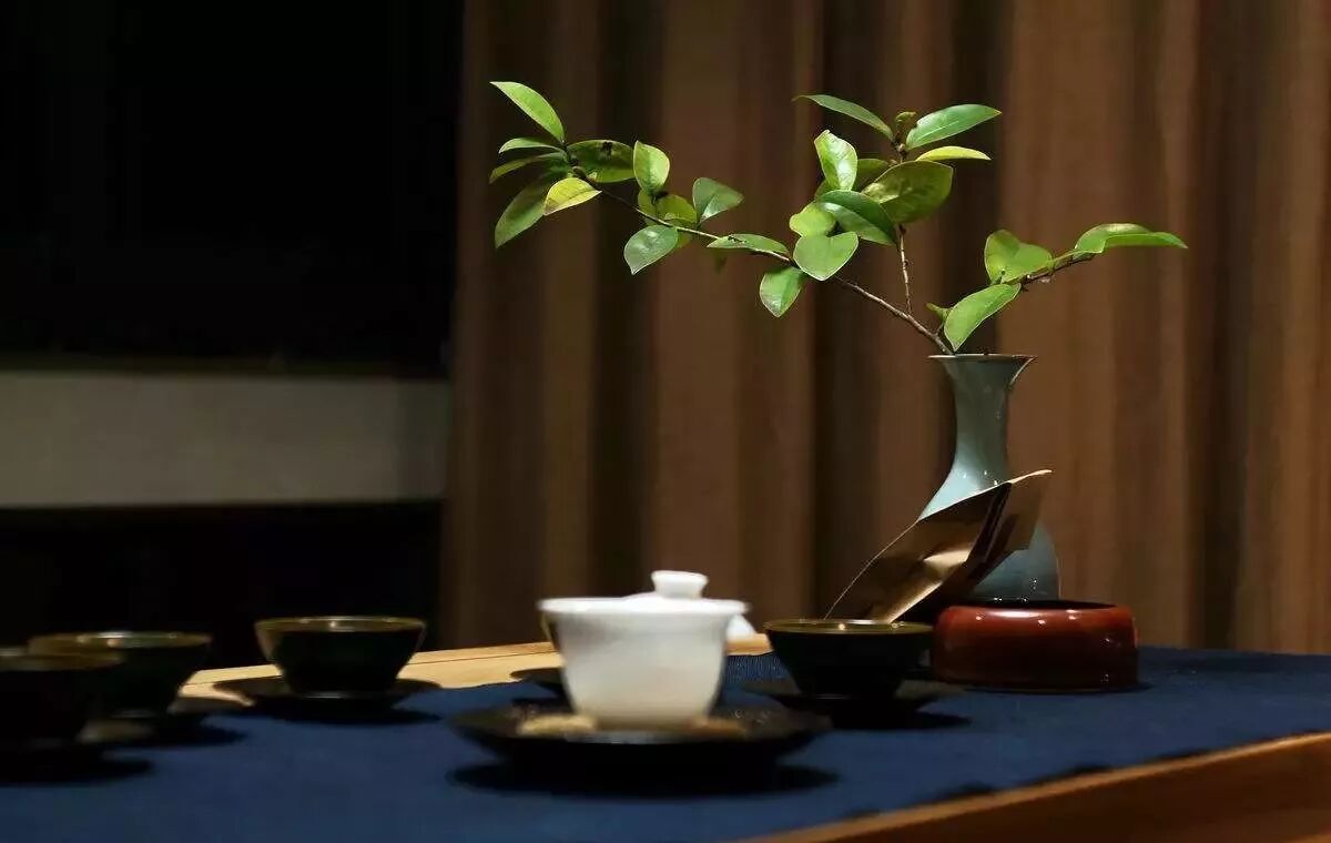 鉴赏绿茶茶艺十二道