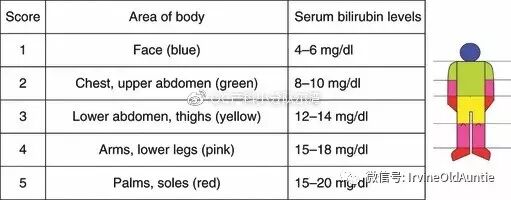 蓝光毯有哪些厂家黄疸高 =必须去医院照贵价蓝光？ 你还有Bili Blanket！_https://www.jmylbn.com_新闻资讯_第1张