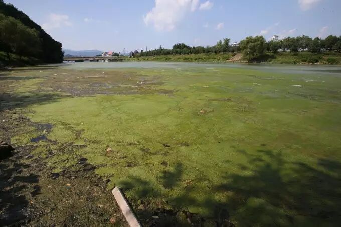 文在寅要查李明博 韩唯一善终总统也晚节不保?