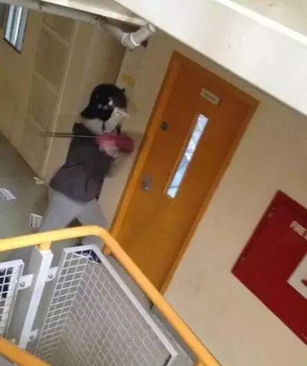 英國私營監(jiān)獄600名囚犯暴亂 通過社交媒體直播