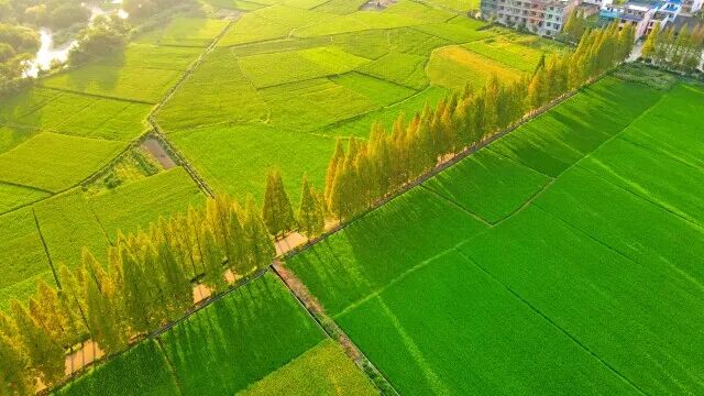 �DƬ���w���w