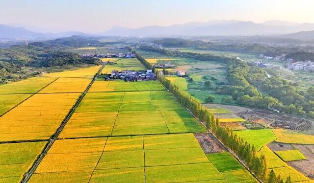 �DƬ���w���w