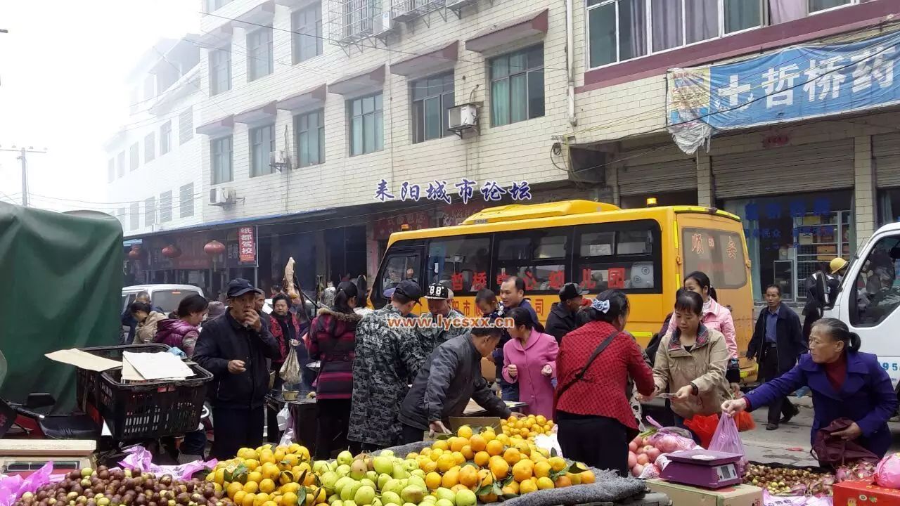 建议调耒阳市政协副主席伍检告担任哲桥街道办事处主任